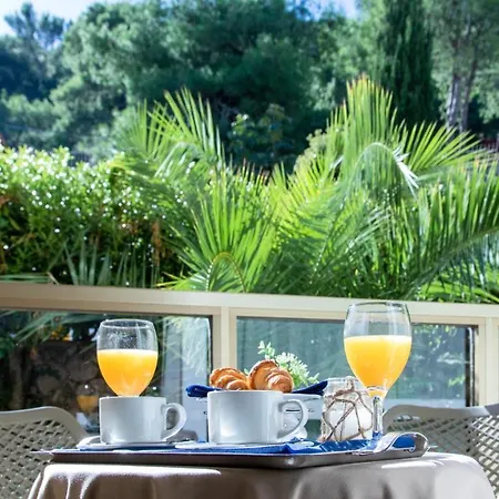 Hotel Vis