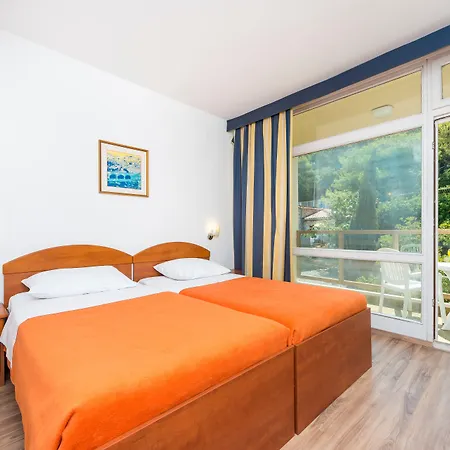 Hotel Vis 3*