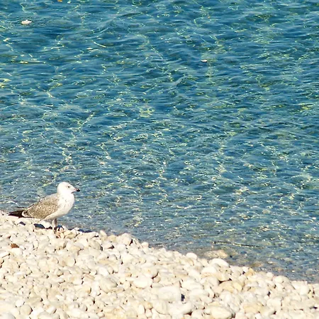 Hotel Vis 3*