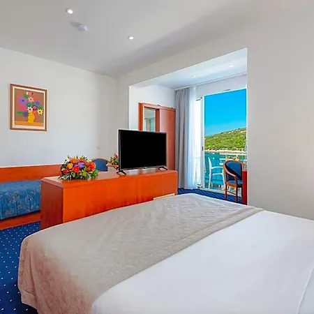 Hotel Vis 3*