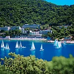 Vis 3*
