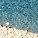 Hotel Vis 3*