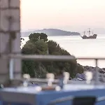 Vis