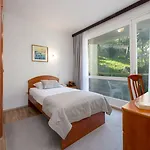 Vis